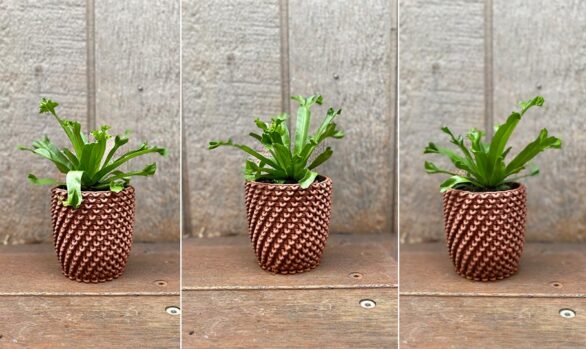 3D Printed Ceramic Pot Plants